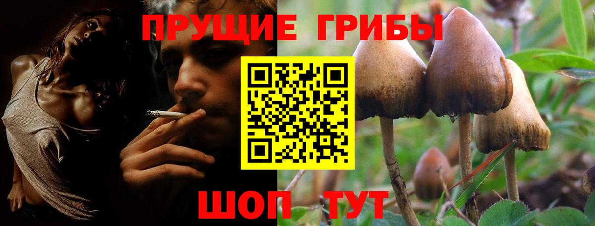 Ухта  Галлюциногенные грибы Psilocybe  Вход с VPN 